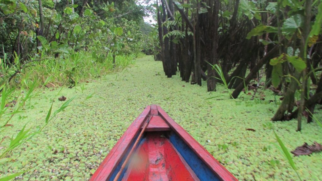 Navegando en canoa por el Amazonas